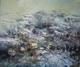 Winter by Mihail Beshev