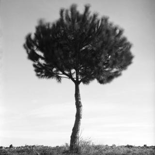 Certitude de la Peau 9 by Paula Bonneaud