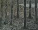 Seven Trees by Mayland Rey-Zheng