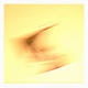 Abstraction by Santi Fort