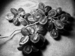 Grapes 3 by Gerardo Otoniel