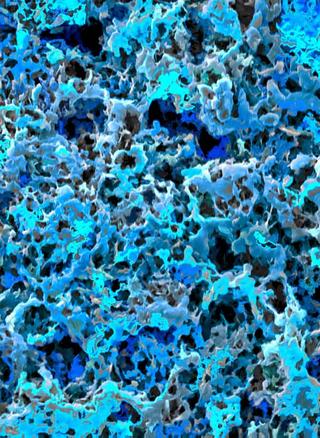 Rhapsody in Blue by Cris Orfescu