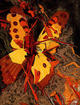 End of Season by Jack Shadbolt