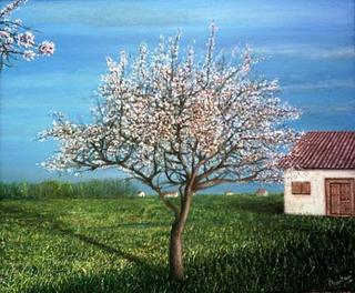 The Almond Tree by David Medina