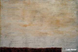Canvas 003 by Edith Pintar