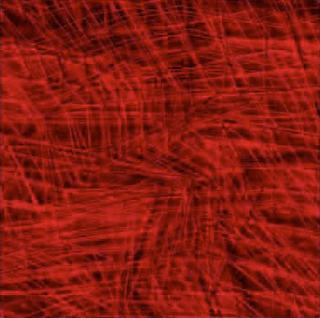 r.e.d. studies / in the search of nothingness by Eva Franch Gilabert