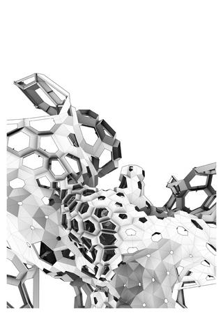 Unnatural Selection: Occlusion Study by Toru Hasegawa