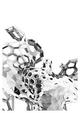Unnatural Selection: Occlusion Study by Toru Hasegawa
