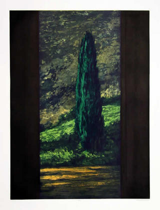 Cipr&eacute;s de Richard Ballard
