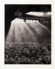 Theatre by Michele Zalopany