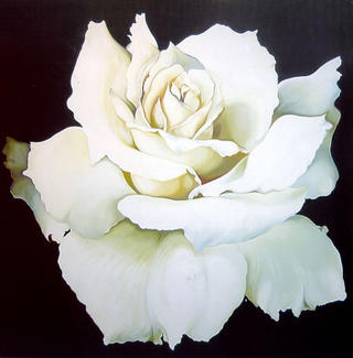 White Rose by Lowell Nesbitt