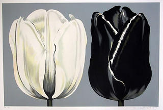 Black and White Tulips by Lowell Nesbitt