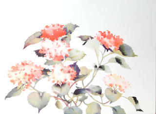 Untitled Flowers 01 by S. Headley van Campen