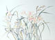 Untitled Flowers 07 by S. Headley van Campen