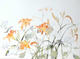 Untitled Flowers 08 by S. Headley van Campen