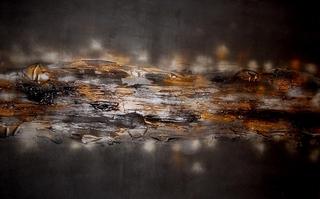 Land Down Under by Virginia de Felipe