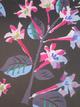 Night Flowers by Raoul Dufy