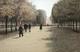 Paris Luxembourg, a Walking Path by Harold Altman