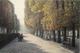 Paris Luxembourg, Playing Children by Harold Altman