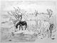 Chevaux dans les Roseaux by Yves Brayer