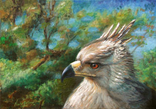 Crown Eagle by Nacho Quiroga