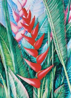 Heliconia 4 by Nantana Phonak