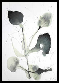 Flowers Series: Amafilita Stelais by Jaime S&aacute;nchez Alonso