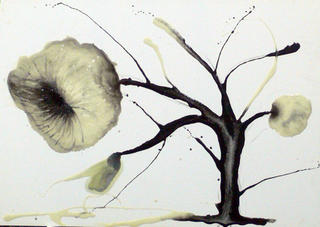 Flowers Series: Chinese Cotton by Jaime S&aacute;nchez Alonso