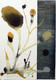 Flowers Series: Gramofidias in Blue by Jaime S&aacute;nchez Alonso