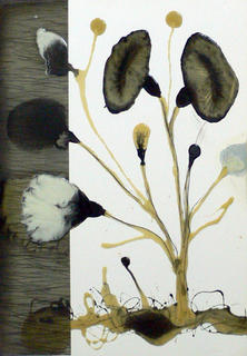 Flowers Series: Escolopendras en Flor by Jaime S&aacute;nchez Alonso