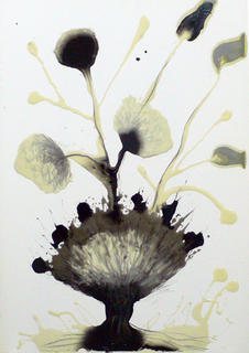 Flowers Series: Fan by Jaime S&aacute;nchez Alonso