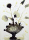 Flowers Series: Fan by Jaime S&aacute;nchez Alonso