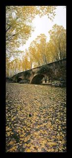 Vertical Roman Bridge by Jorge Polo