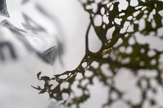 LDPE - Low Density Polyethylene by Birgit Muller