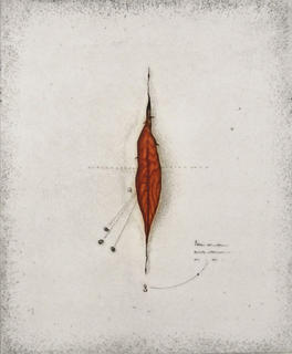 A Puzzle by Thomas O Donohue