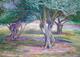 Three Olive Trees by Moti Lorber