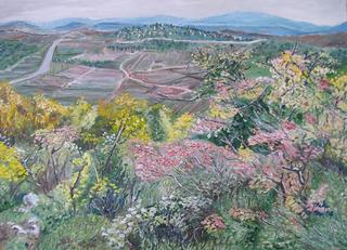 Panoramic view Trough a Bush by Moti Lorber