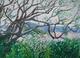 Wild Landscape by Moti Lorber
