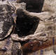 Nocturne 18x18 - 6 by Helcio Barros