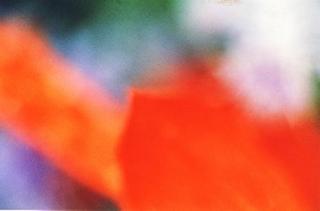 Flower Abstract by Marilyn Robertson