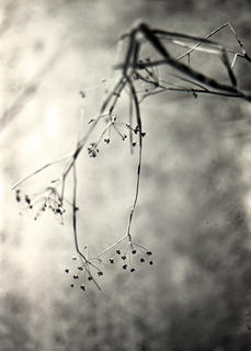 Untitled 15 by Montag