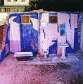 The Water of my Bathroom is Blue by Rosa Mu&ntilde;oz