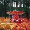 Paper Mach&eacute; Carousel by Rosa Mu&ntilde;oz