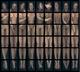 Nine Prologue of a Muse by Luciana Crepaldi