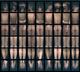 Nine Epilogues of a Muse by Luciana Crepaldi