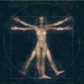 The Divine Proportion by Luciana Crepaldi