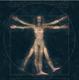 The Divine Proportion by Luciana Crepaldi