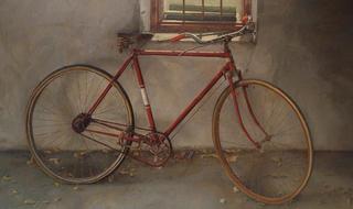 La Bicicleta de Eloy de Pablo Carnero