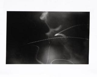 Fever 1 (Moths) I by Toni Crabb
