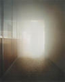 Glass House Effect I by Bel&eacute;n Uriel